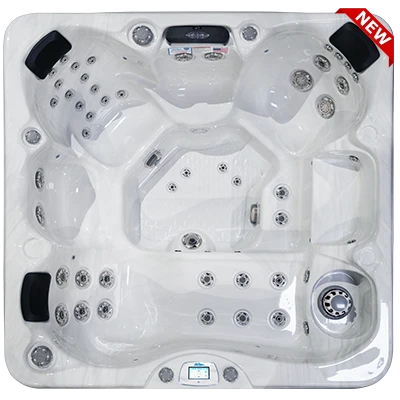 Avalon-X EC-849LX hot tubs for sale in Evans
