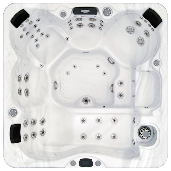 Avalon-X EC-867LX hot tubs for sale in Evans